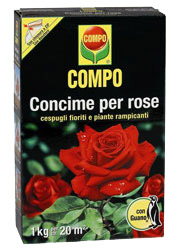 ROSE KG.1 COMPO