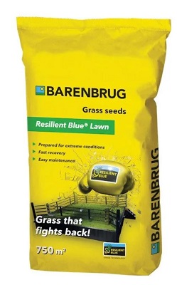 RESILIENT BLUE LAWN KG 15