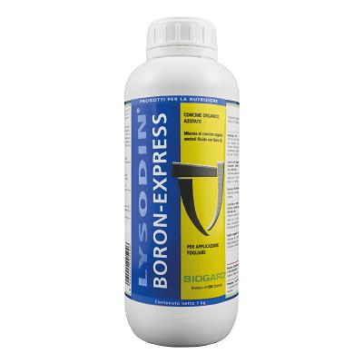 LYSODIN BORON EXPRESS KG 1 BIOGARD
