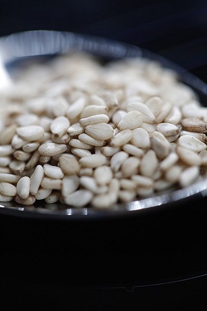 SEMI DI SESAMO BIO GR.250