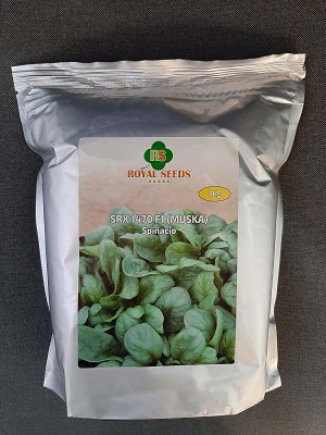 SPINACIO SRX 1470 MUSKA F1 KG.1