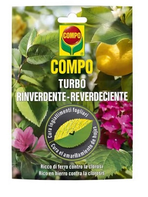TURBO RINVERDENTE GR 20 COMPO