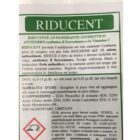 RIDUCENT grammi 250 ANTIOSSIDANTE