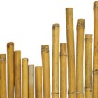 CANNA BAMBOO h CM.180 22/24 mm