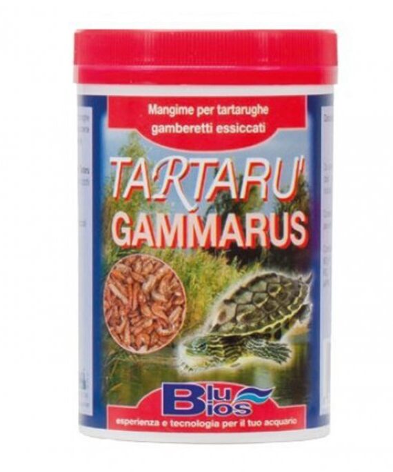 TARTARU' GAMMARUS GR.33 MANTOVANI