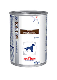 GASTROINTESTINAL DOG GR 200 ROYAL CANIN