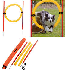 AGILITY CIRCLE FERPLAST