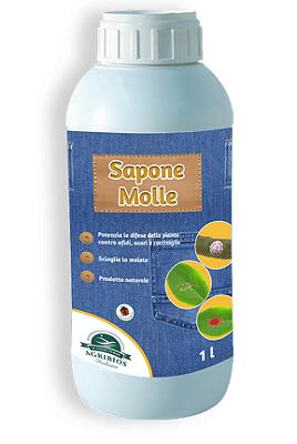 SAPONE MOLLE LT.1