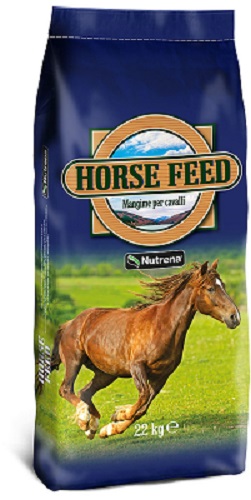 HORSE MAINTENANCE KG.22 PURINA