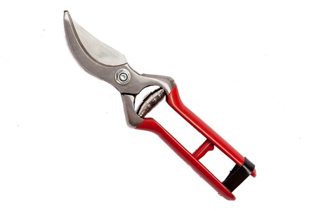 FORBICE VIGNA CM.21 FALCI