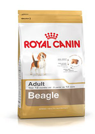 BEAGLE ADULT KG.3 ROYAL CANIN