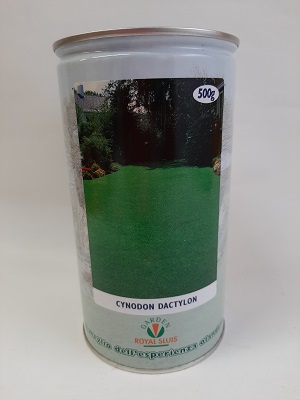 CYNODON DACTYLON GR.500
