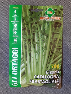 CICORIA CATALOGNA FRASTAGLIATA G 50