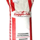 MASTER FIOC KG.18 RAGGIO DI SOLE