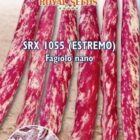 FAGIOLO NANO ESTREMO grammi 100