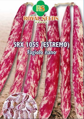 FAGIOLO NANO ESTREMO grammi 100