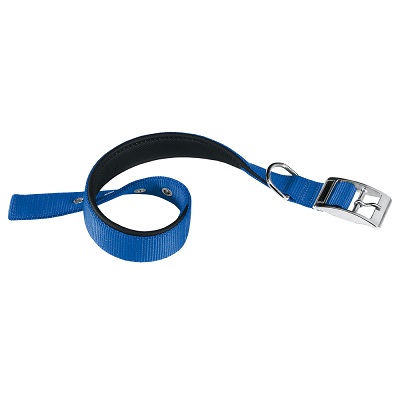 DAYTONA C25/45 BLU COLLARE FERPLAST