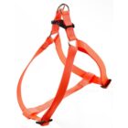 EASY P MEDIUM ARANCIO PETTORINA FERPLAST