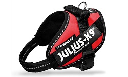 JULIUS K9 PETT.BABY 1 XS-S 30-40 ROSSO