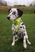 BANDANA DI SICUREZZA L-XL RIFLETTENTE TRIXIE