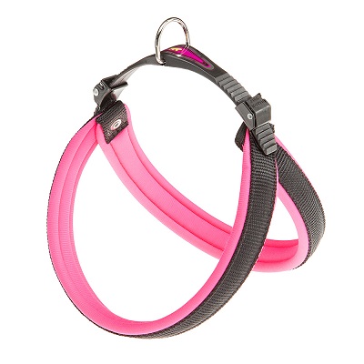 AGILA FLUO 5 ROSA PETTORINA FERPLAST