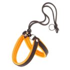 AGILA FLUO 1 ARANCIO PETTORINA FERPLAST