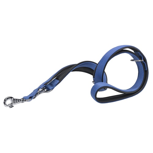 DAYTONA GA 20/200 BLU ADDESTR. FERPLAST