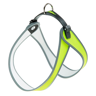 AGILA SUN 9 PETTORINA FERPLAST