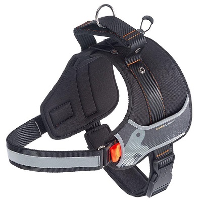 HERCULES XL NERA PETTORINA FERPLAST