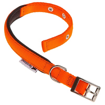 DAYTONA C20/43 ARANCIO COLLARE FERPLAST