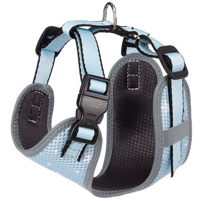 NIKITA P XS PUPPY PETTORINA FERPLAST