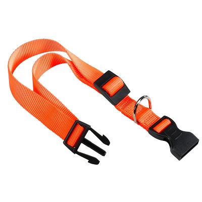CLUB C10/25 ARANCIONE COLLARE FERPLAST