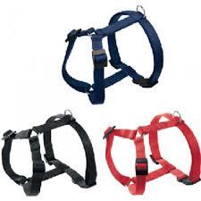 CHAMPION P MEDIUM BLU PETT. FERPLAST